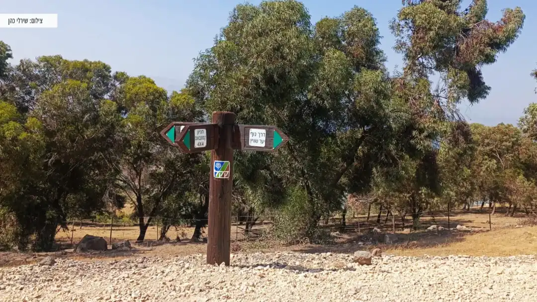 שלטי הכוונה במסלול יער שוויץ
