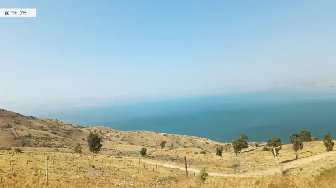 נוף פנורמי אל העיר טבריה והכנרתשלט