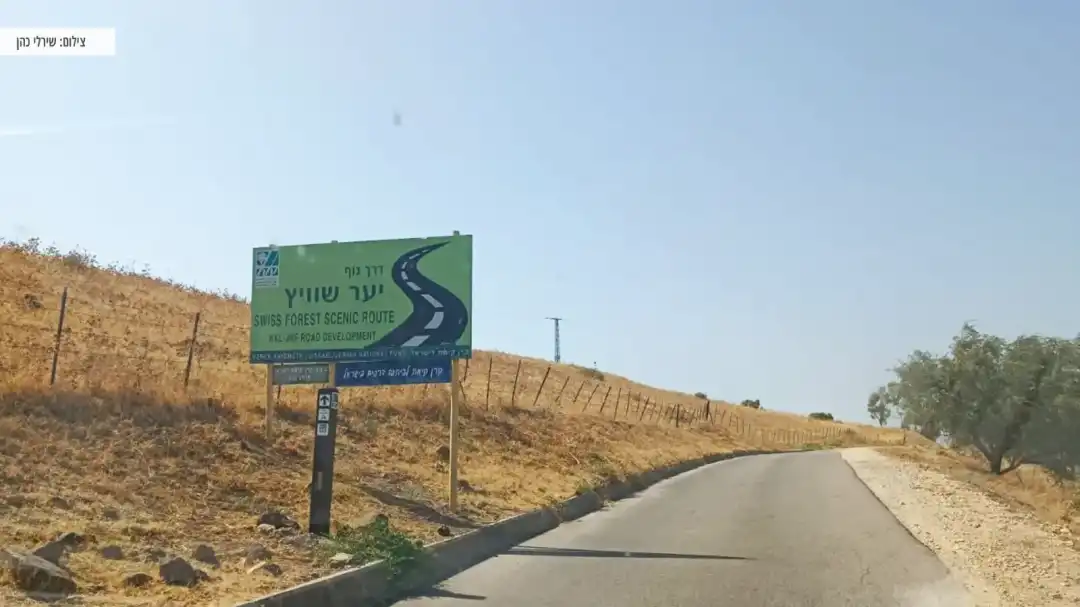 שילוט ליער שוויץ