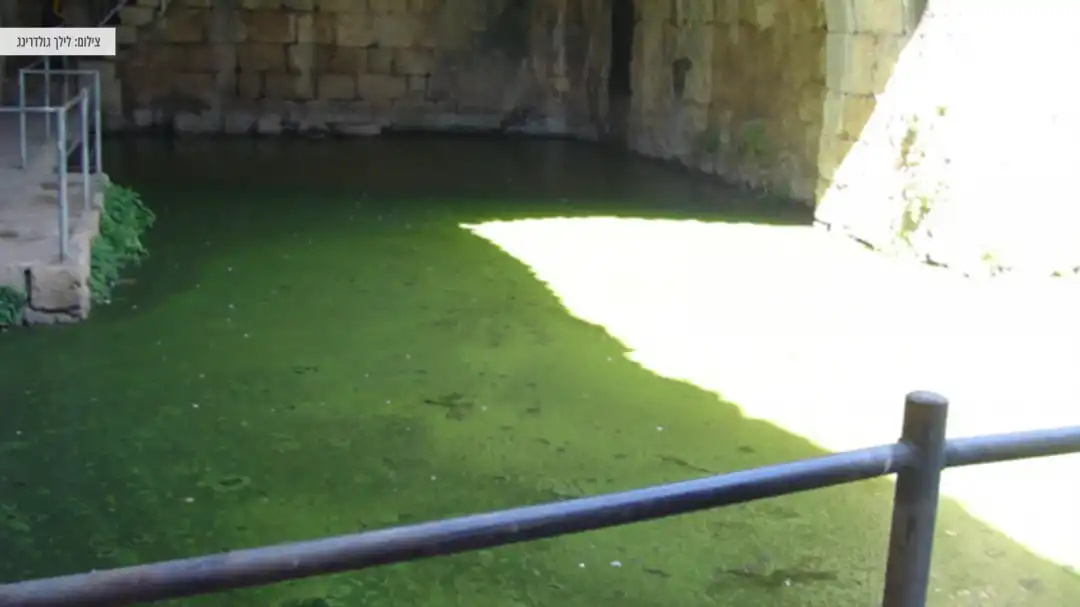 חוויית טיול מהנה לכל המשפחה