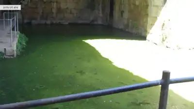 חוויית טיול מהנה לכל המשפחה