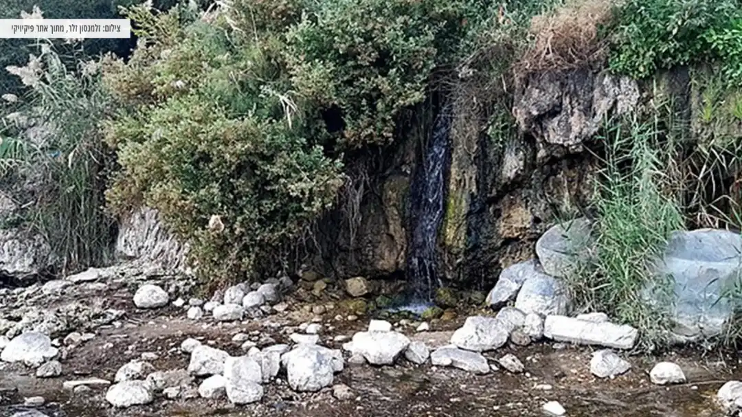 מפל עין איוב זורם אל הכנרת