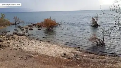 נוף הכנרת מעין איוב