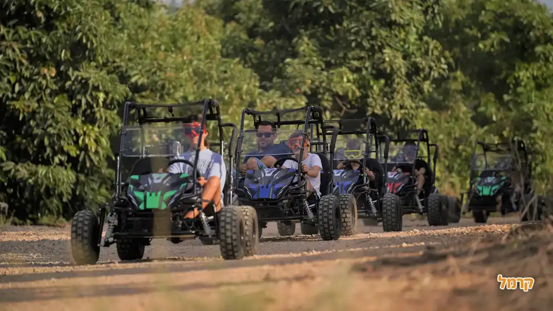 ילדים נוהגים עם מלווה