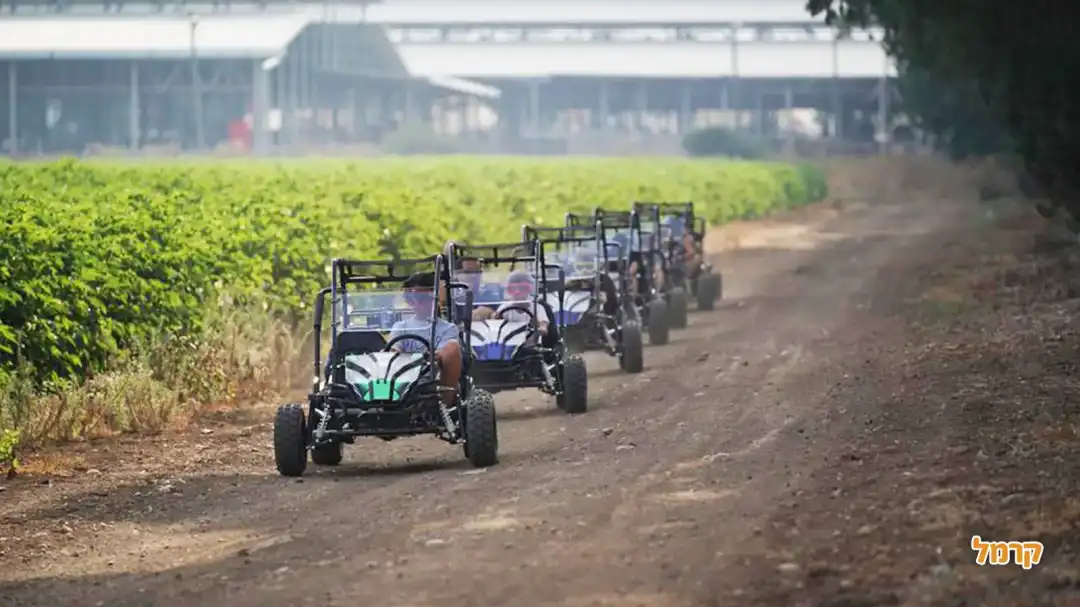 שיירה של באגי