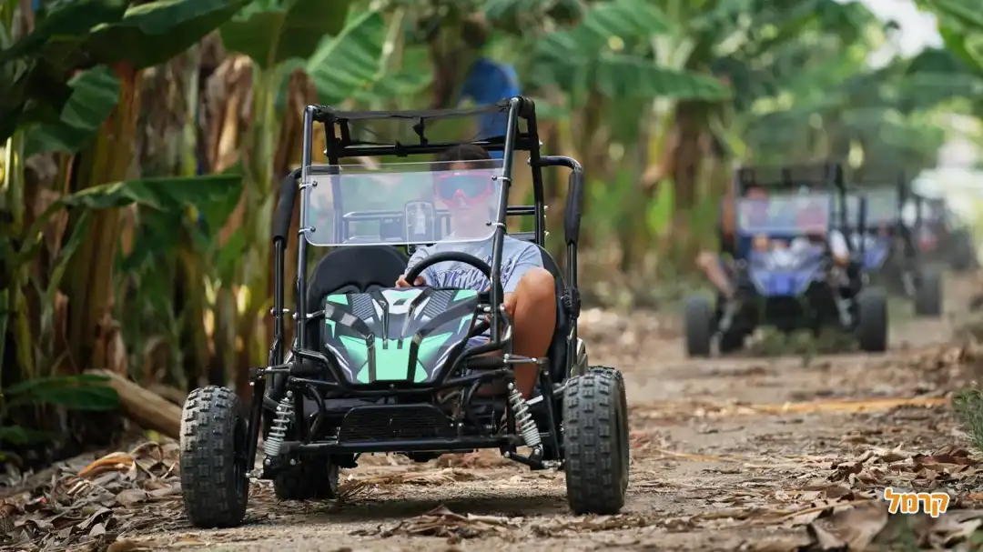 ילד נוהג בבאגי