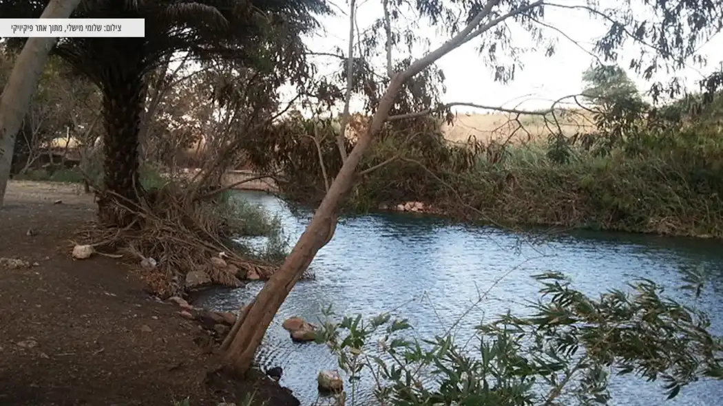 מעיין עין שוקק וצמחיה סביב