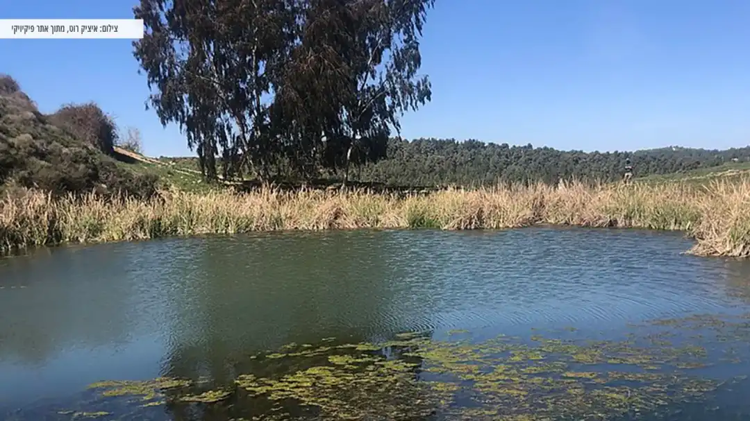 העין הכחולה באזור גוש חלב