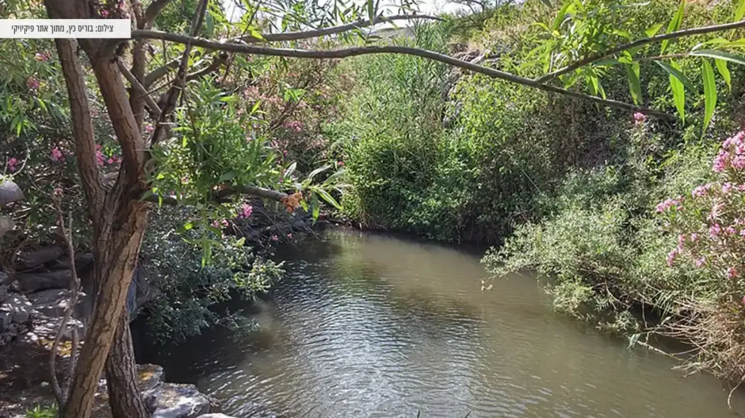 מעיין נסתר ברמת הגולן באזור אניעם