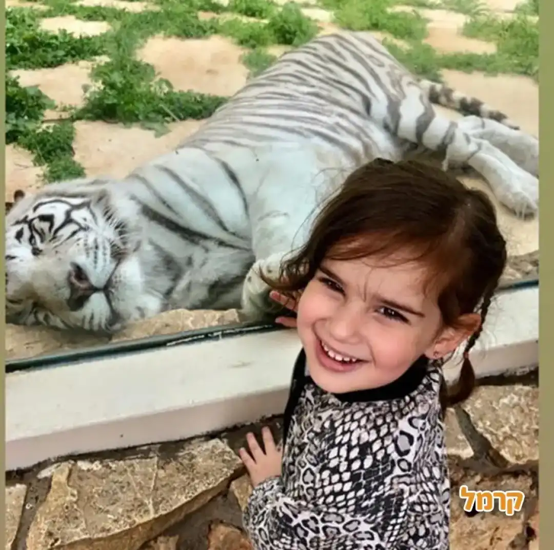 ילדה מחיכת ליד הבית של הנמר הלבן