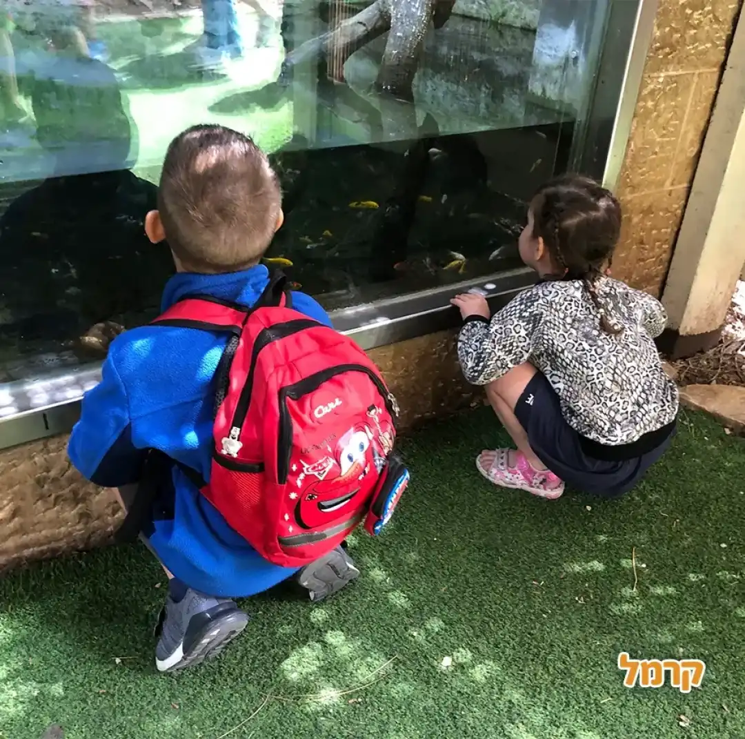 ילדים מול אקווריום