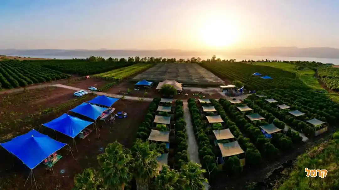 מבט מלמעלה על חוות הפיטאיה