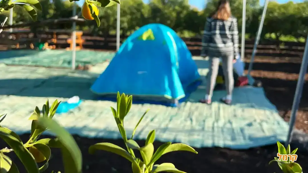 קמפינג באוהל ביתי