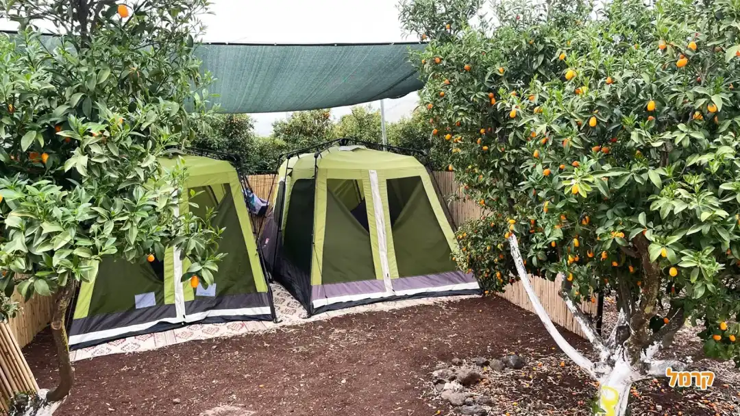 אוהלים להשכרה במקום