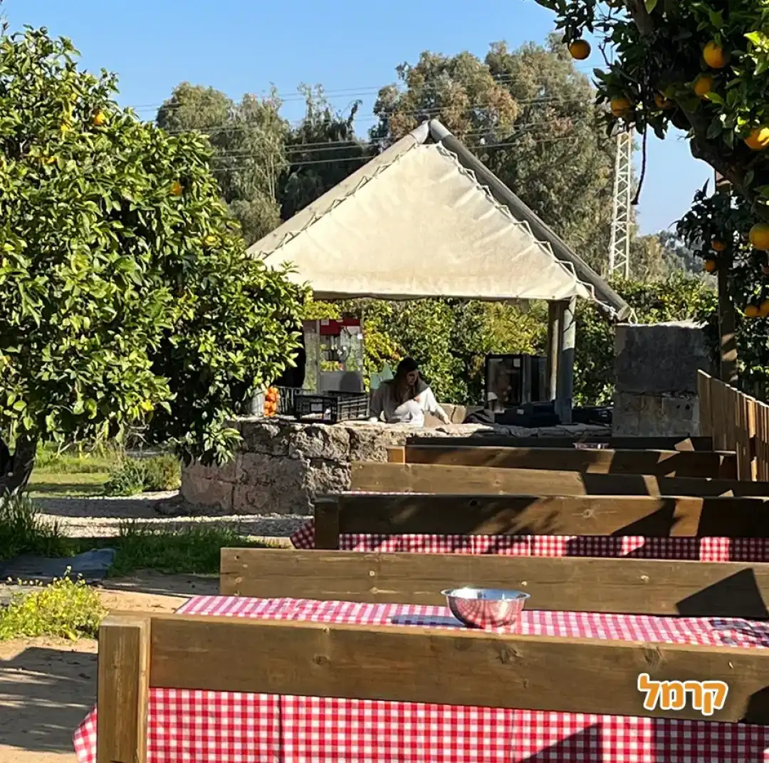 מסלולים בפרדס 