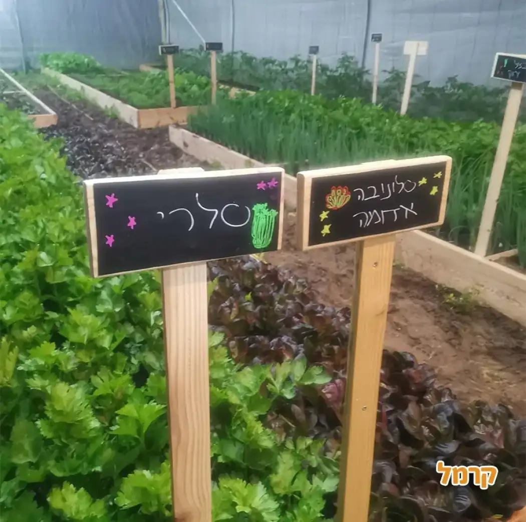 משק הכוכבים Stars farm משק הכוכבים Stars farm