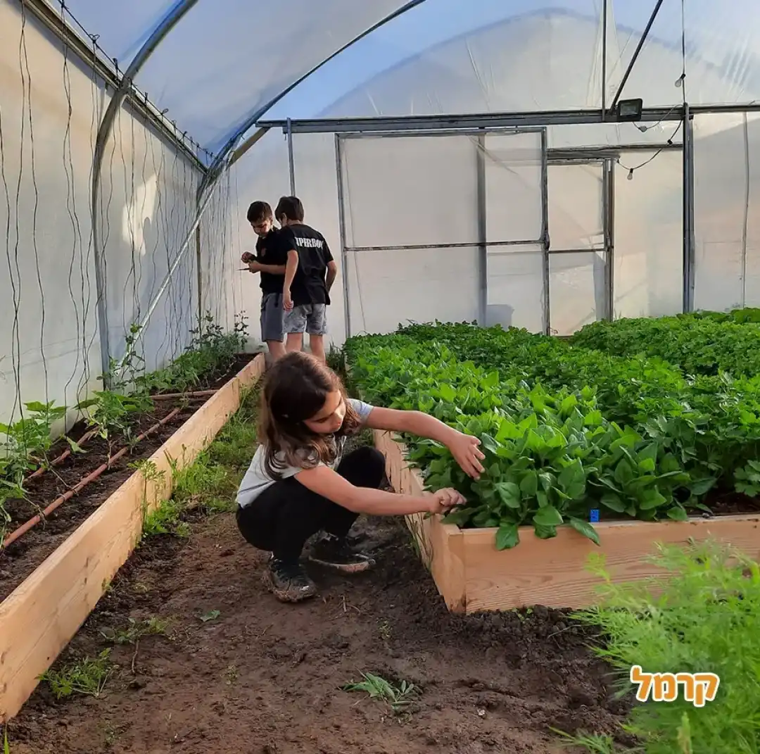 משק הכוכבים Stars farm