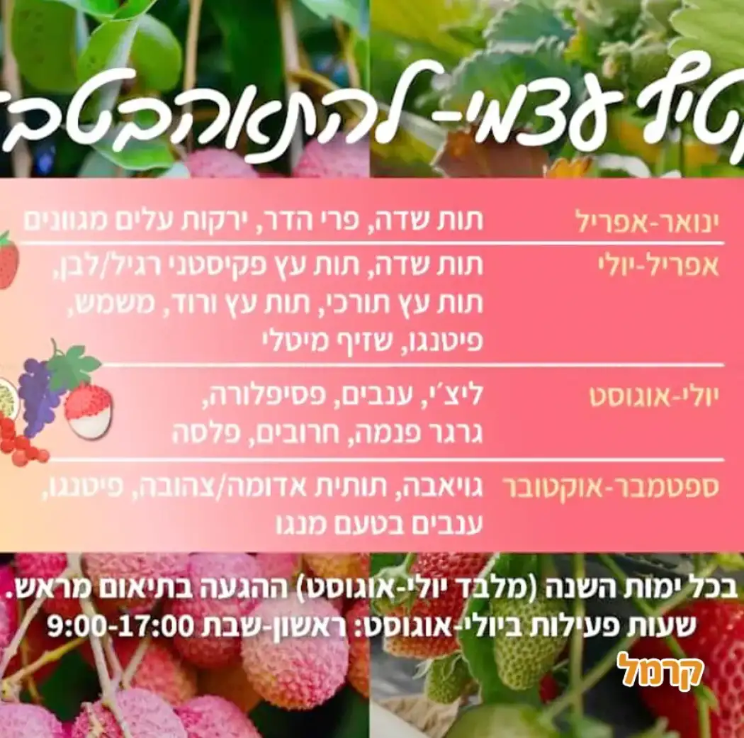 להתאהב בטבע בגליל המערבי להתאהב בטבע בגליל המערבי