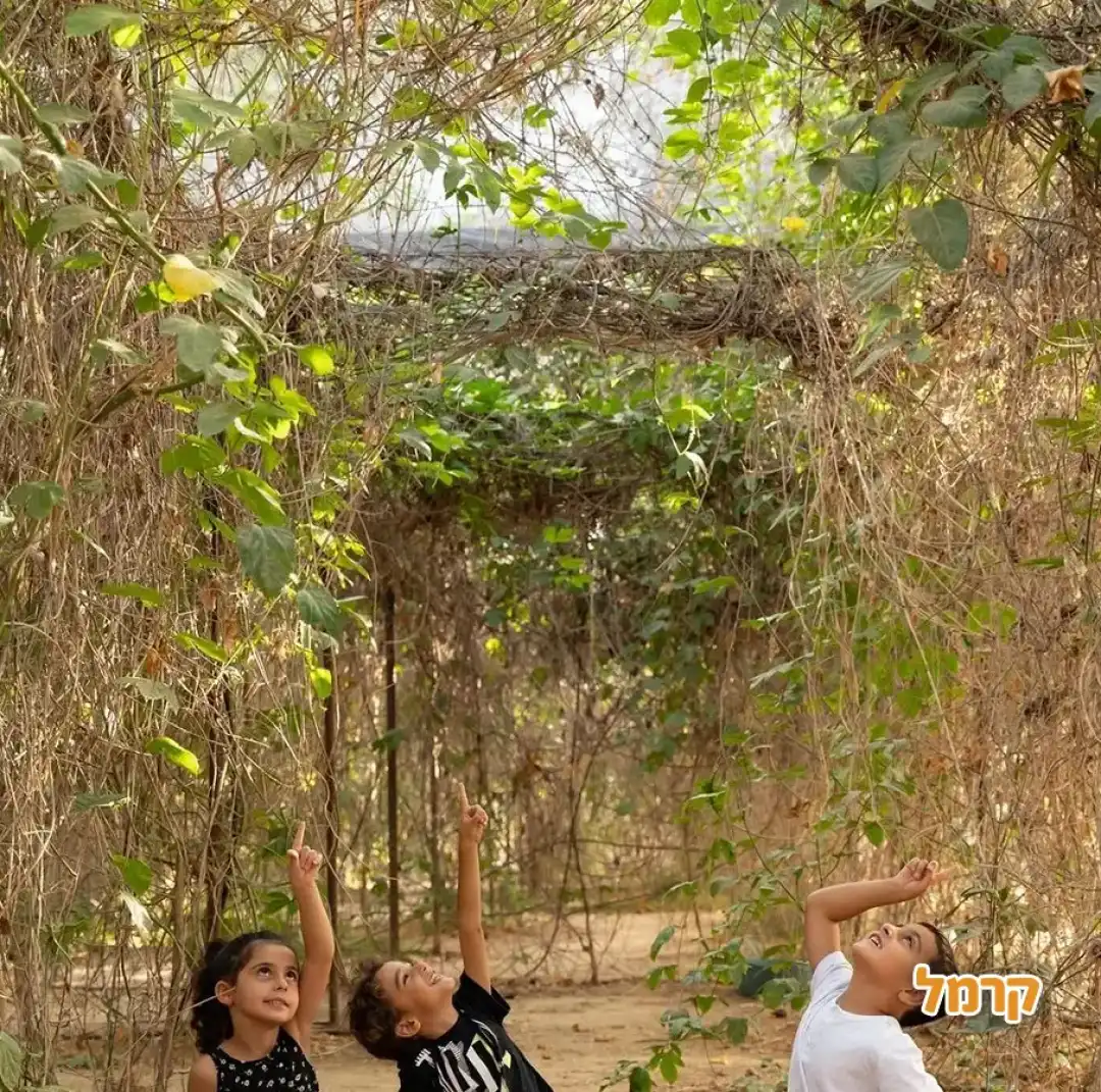 חוות הפסיפלורה