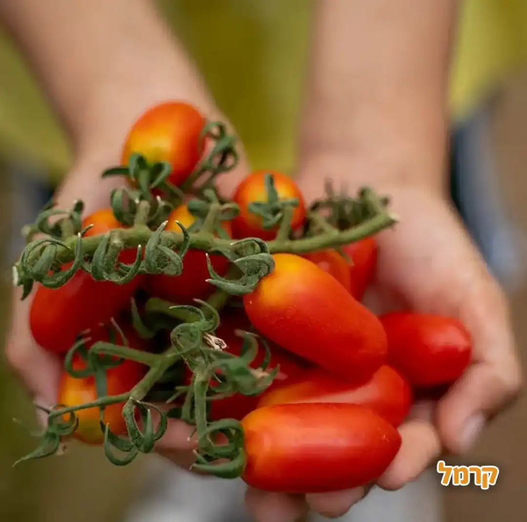חוות הפסיפלורה
