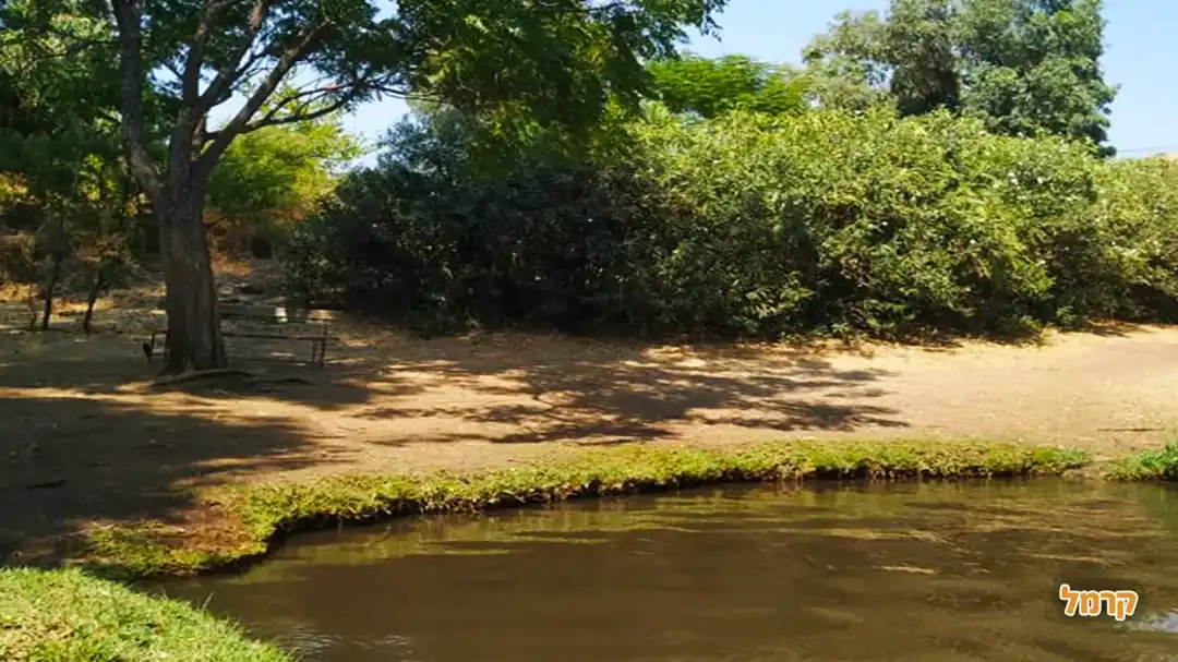 נחל באזור הקמפינג