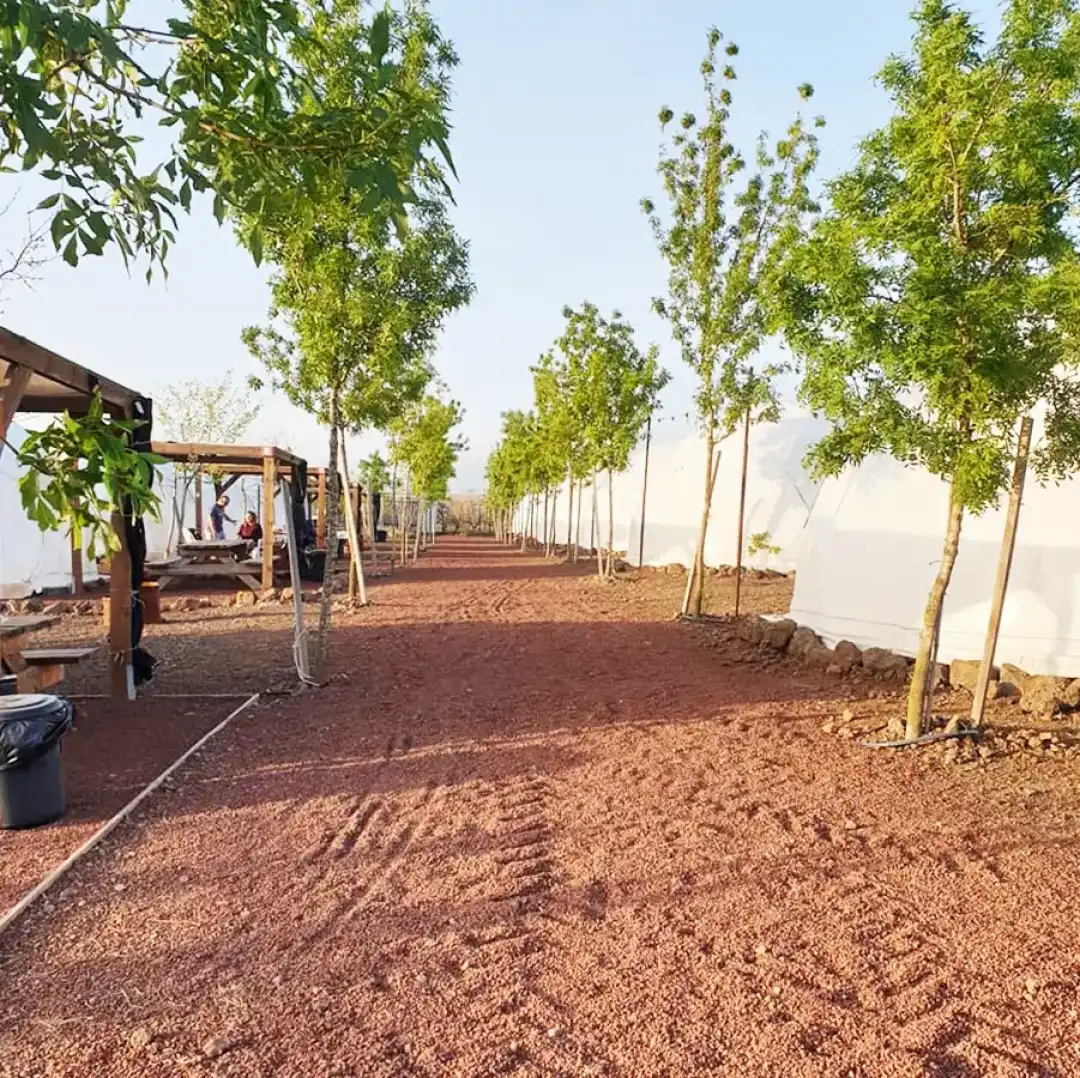 מתחם קמפינג הדובדבן שבגולן