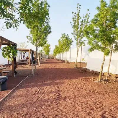 מתחם קמפינג הדובדבן שבגולן מתחם קמפינג הדובדבן שבגולן