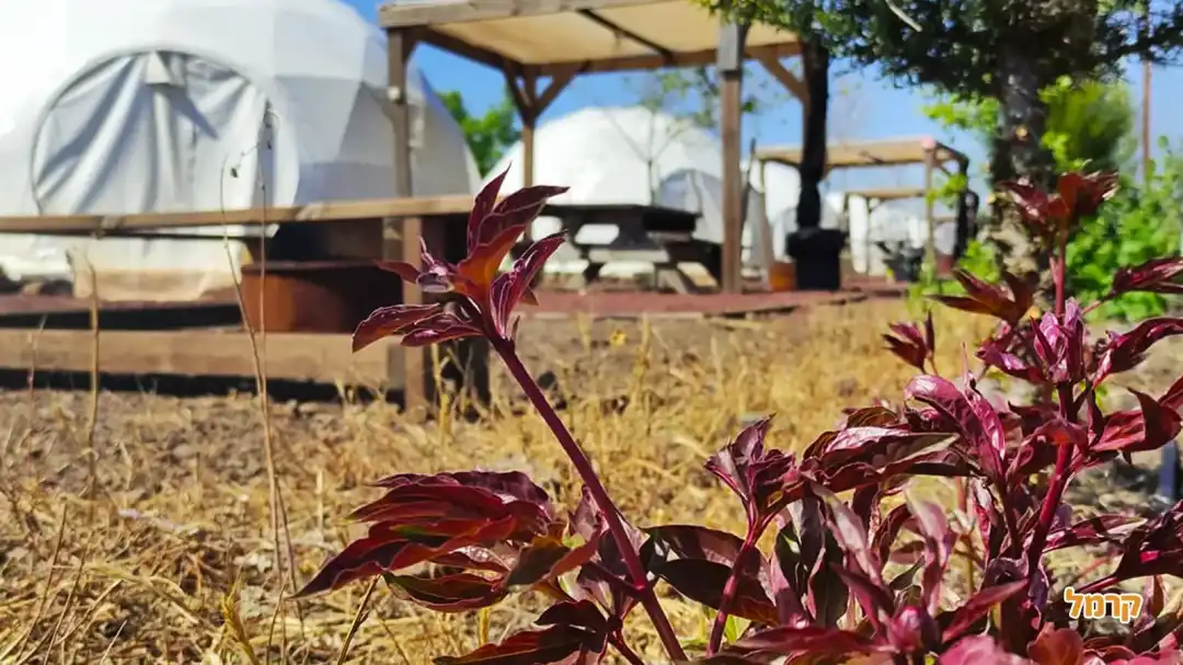 אוהלים ופינות ישיבה בטבע