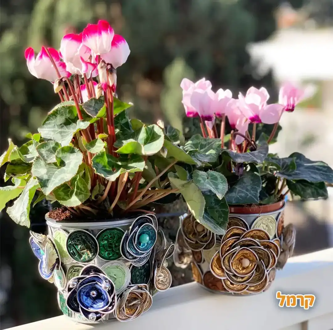 סדנת קפסולת קפה