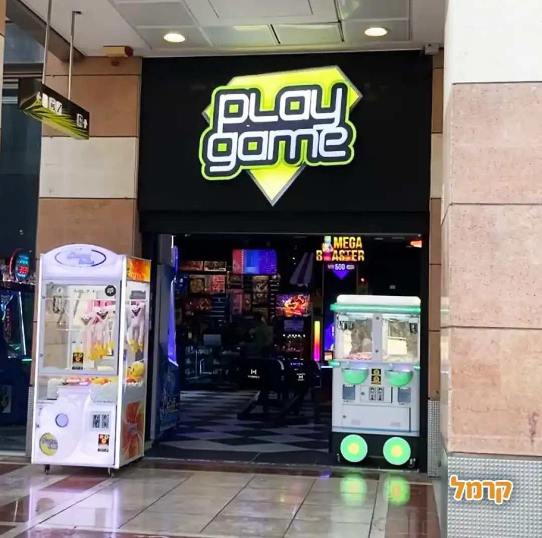 משחקיית play game