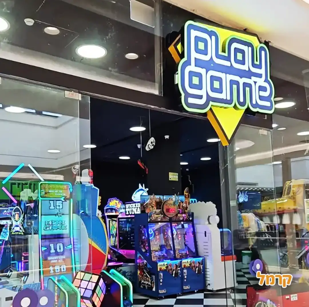 משחקיית play game