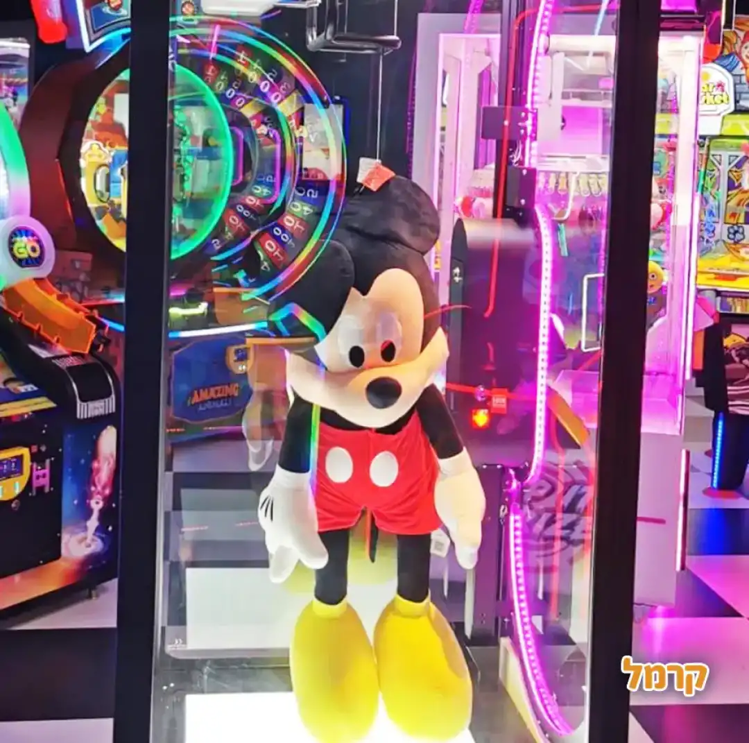 משחקיית play game