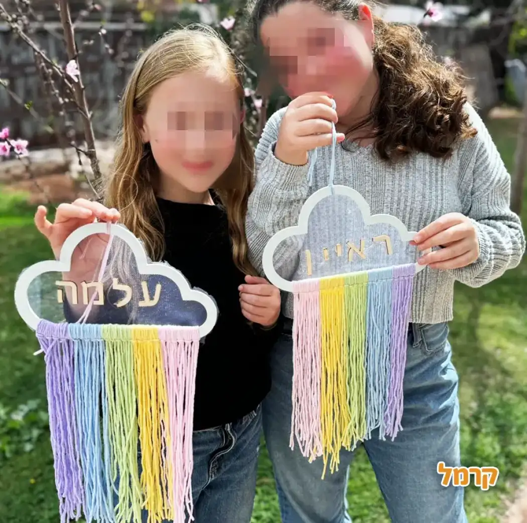 הנדי'ס