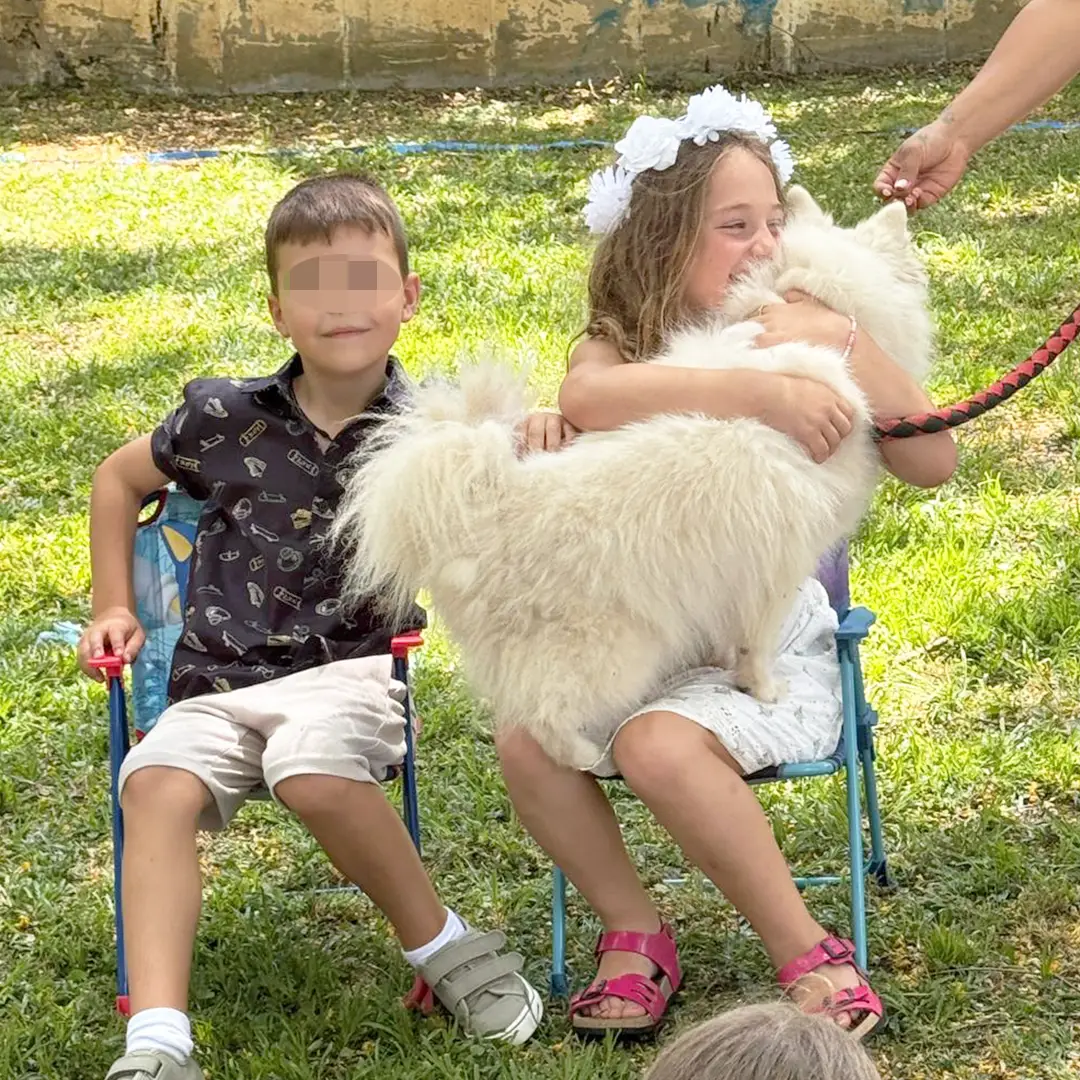 mors dogs - הכלבים של מור