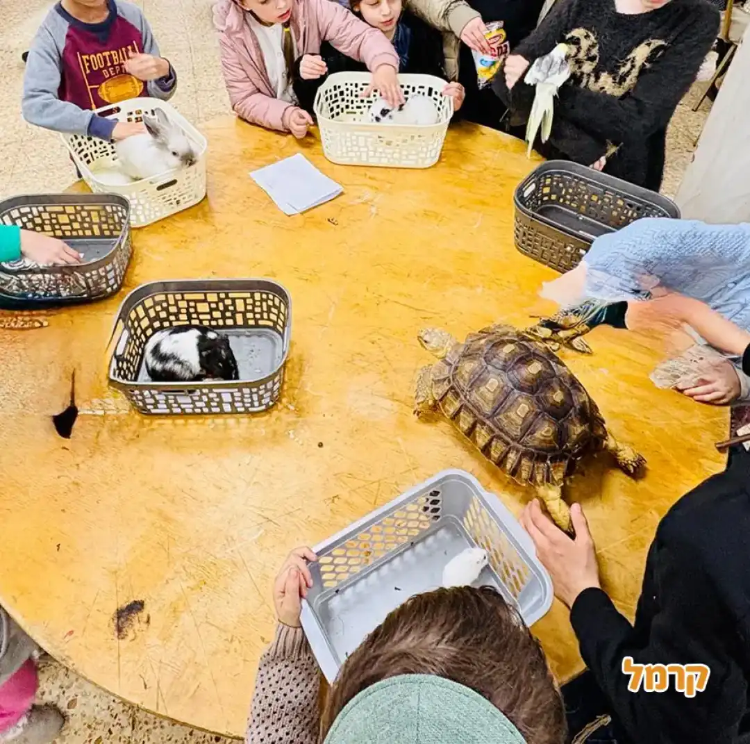 החוויה הנודדת