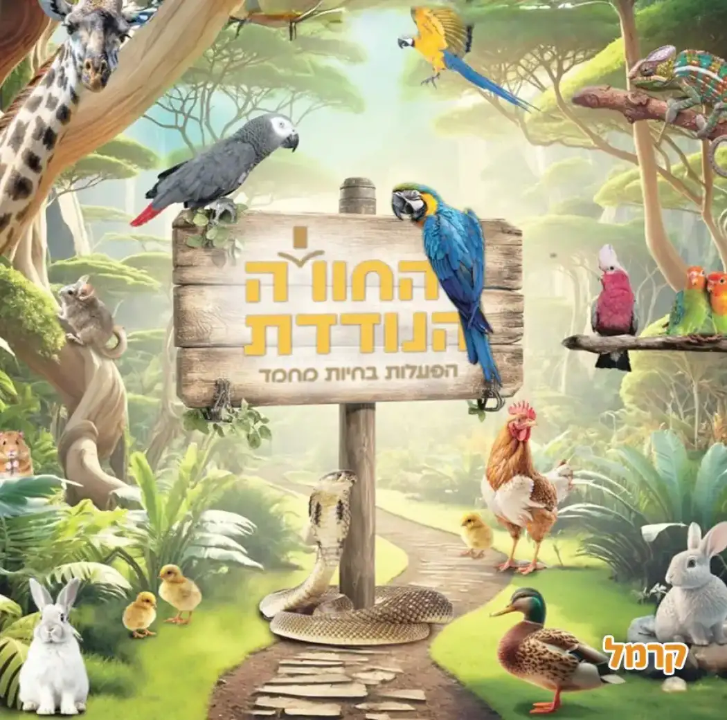 החוויה הנודדת