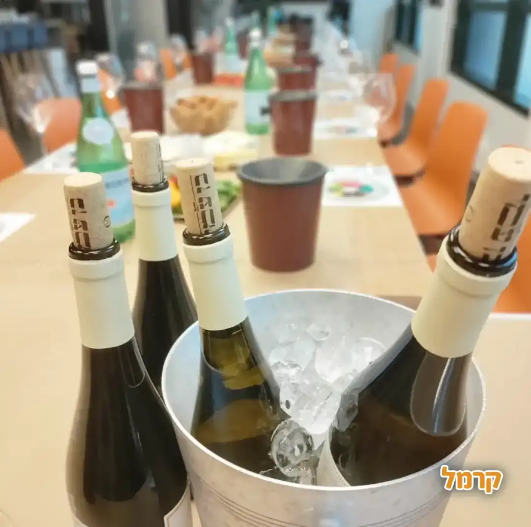 סדנאות והרצאות