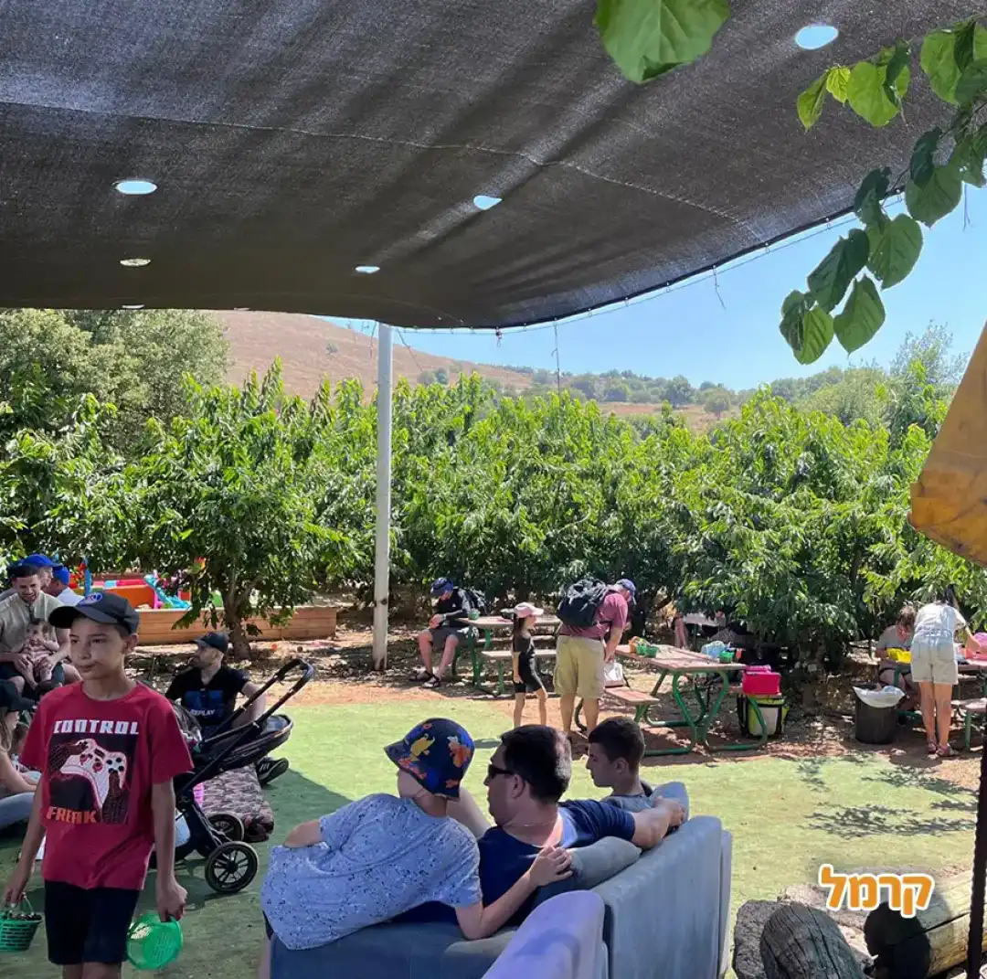 Конная ферма и вишневый сад