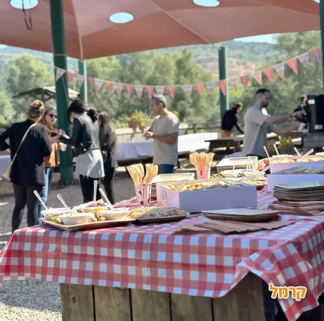 בעקבות השטח