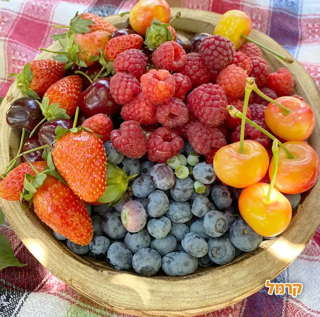 קטיף של פירות יער החרמון