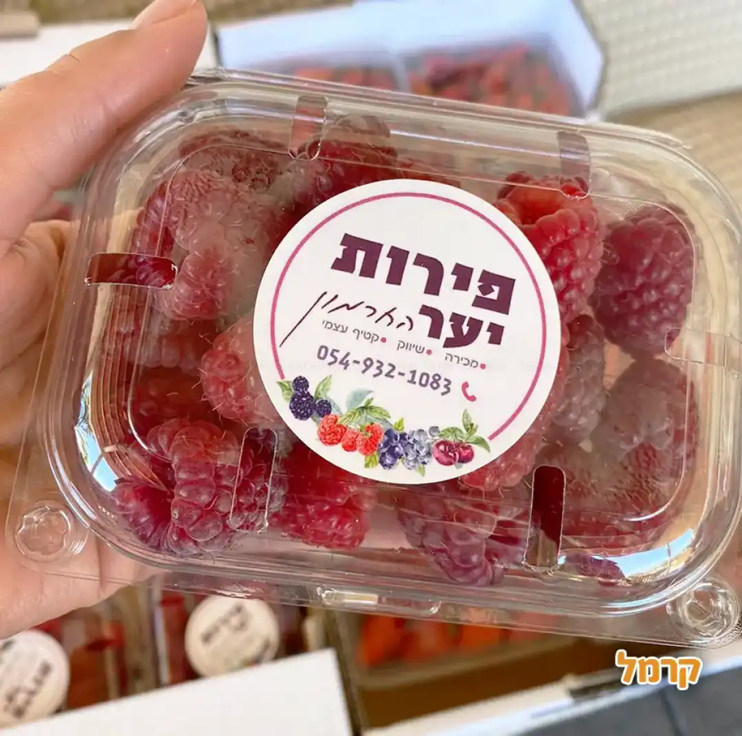 קטיף של פירות יער החרמון