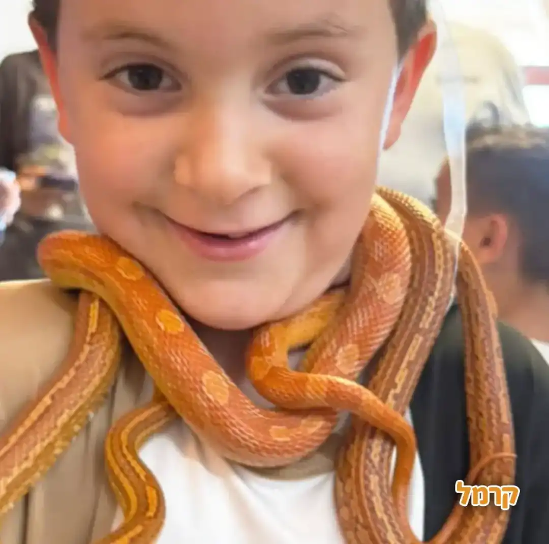 מועדון החיות של אלרוס