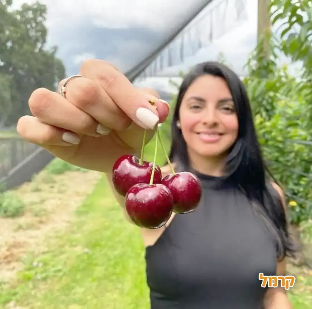 פארק הבוסתן