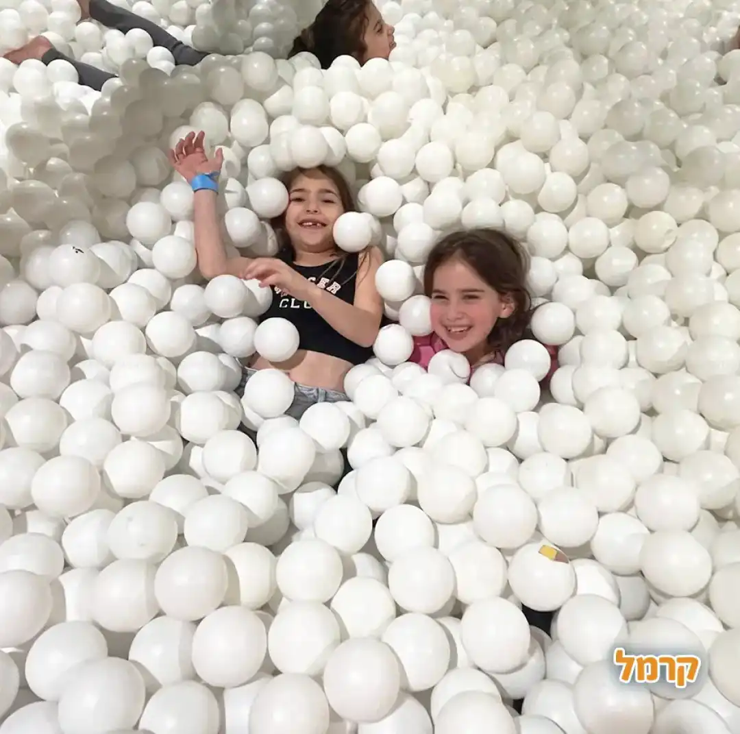 נינג'ה סיטי