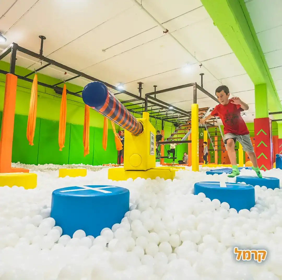 נינג'ה סיטי