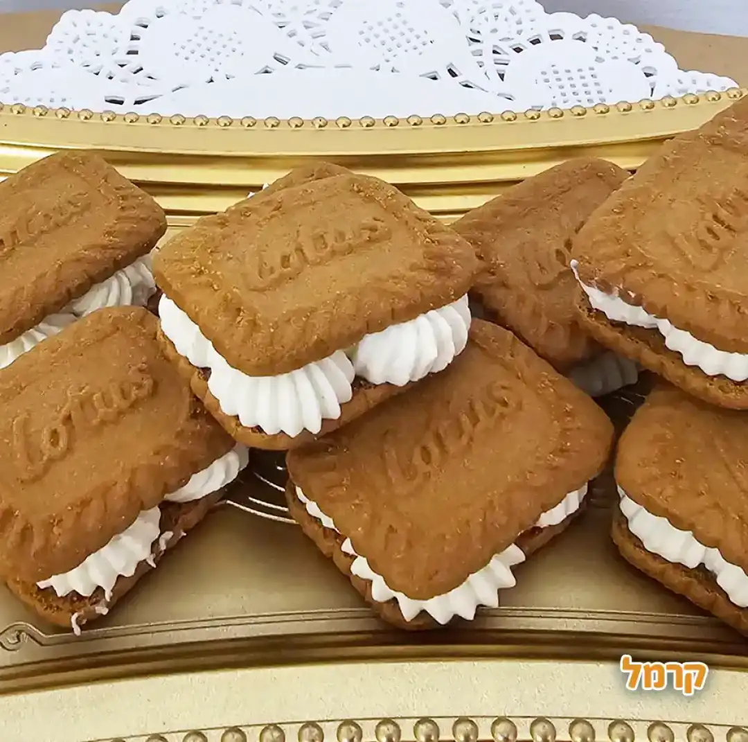 סדנה מטריפה של גלידות