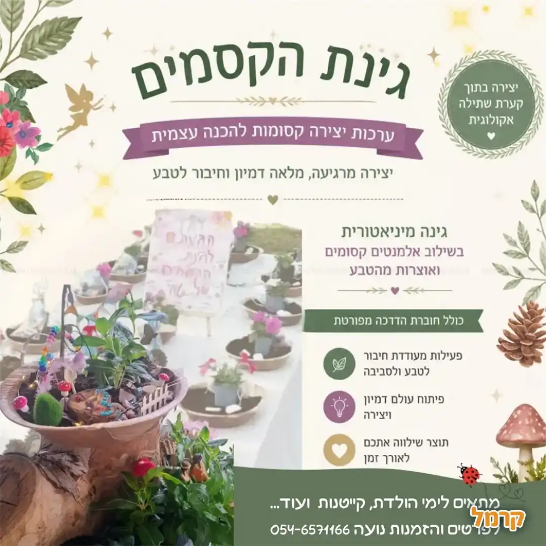 ערכות DIY