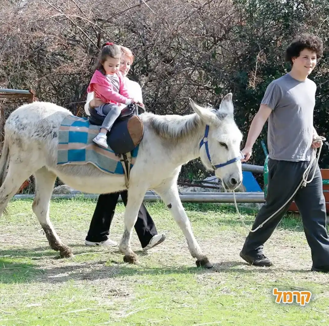 החווה בגבעה