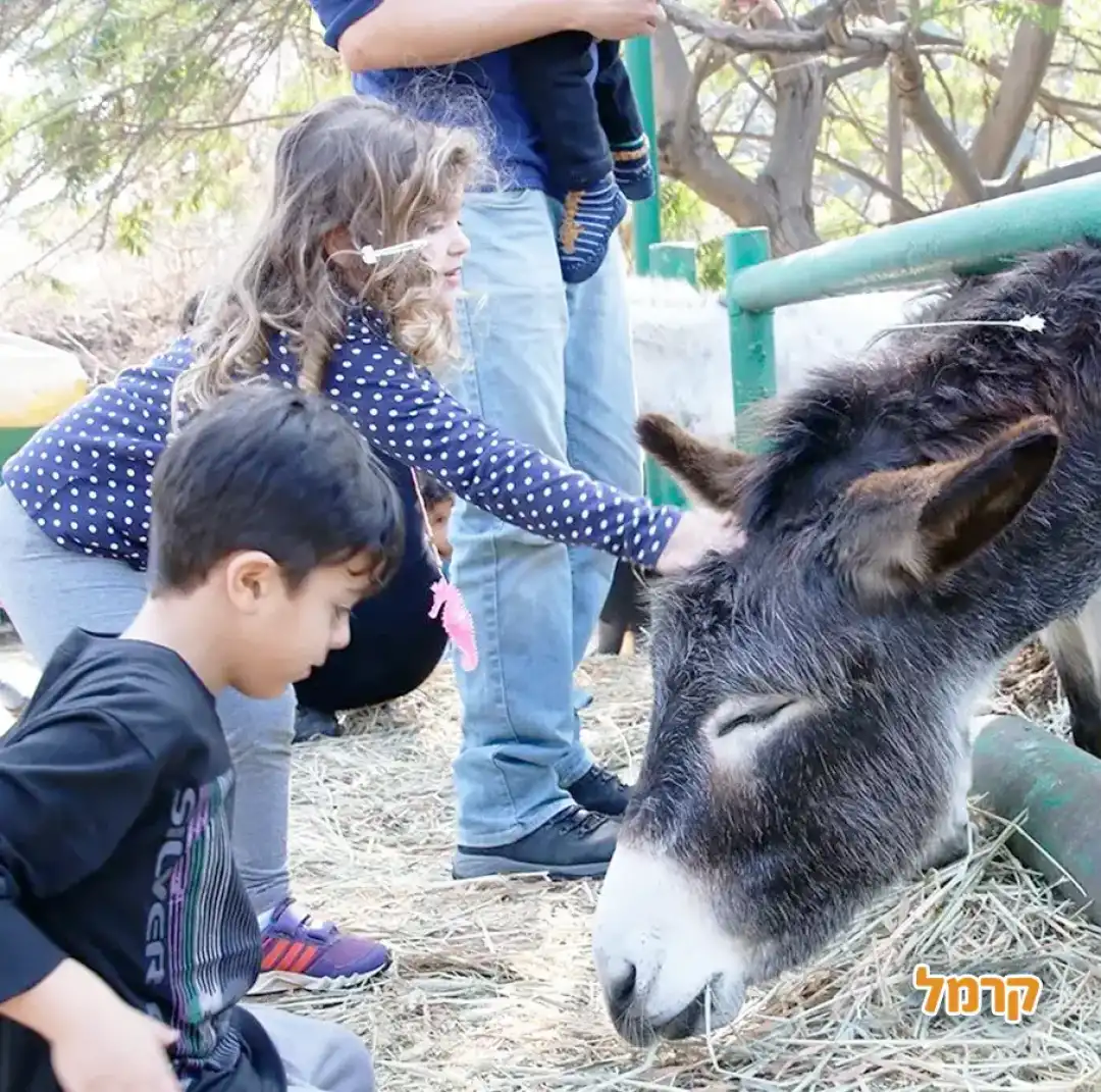 החווה בגבעה
