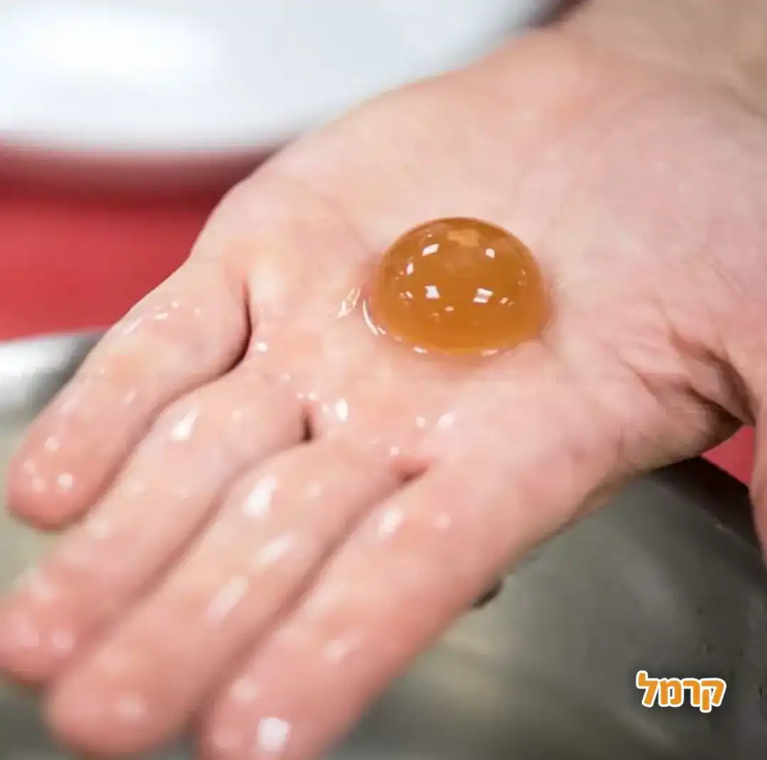 הסדנה לבישול מולקולרי